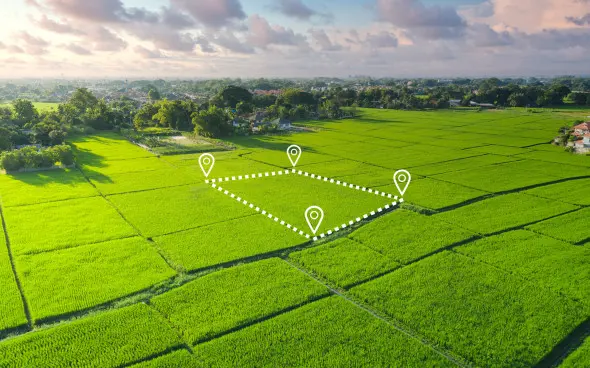 gluster 2022 7 22 d940d8d207ee0008c2b81d0505f68c22 original.111998