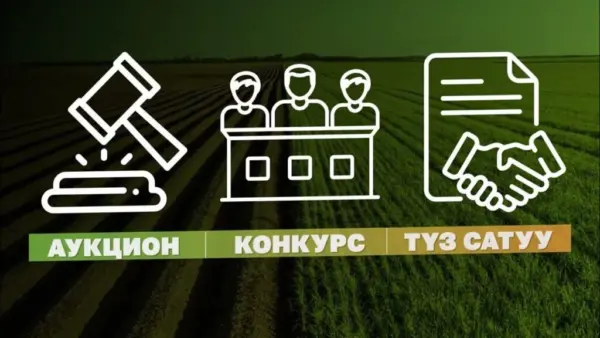 Maxresdefault 1024x576 (1)